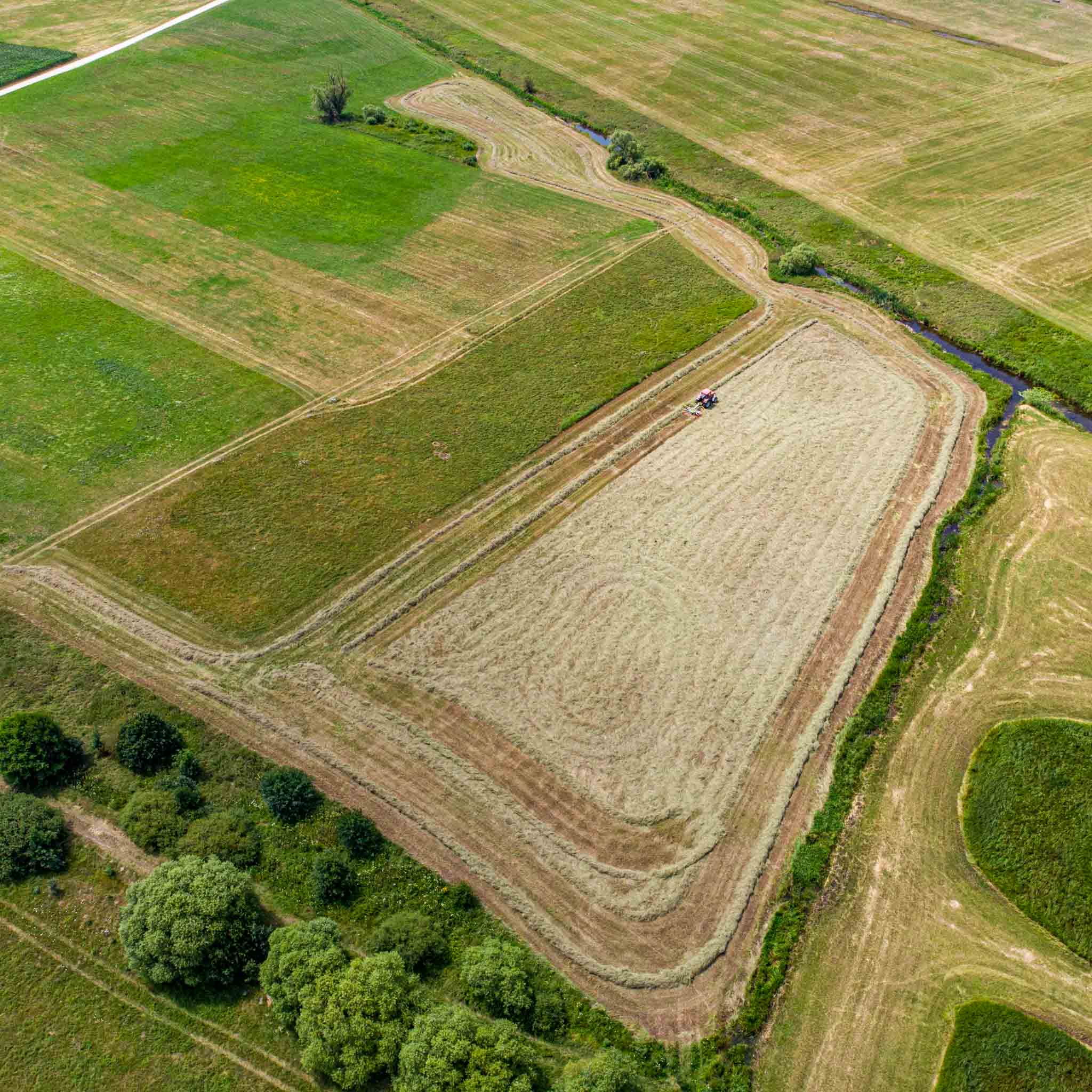 Granulés de foin aux herbes