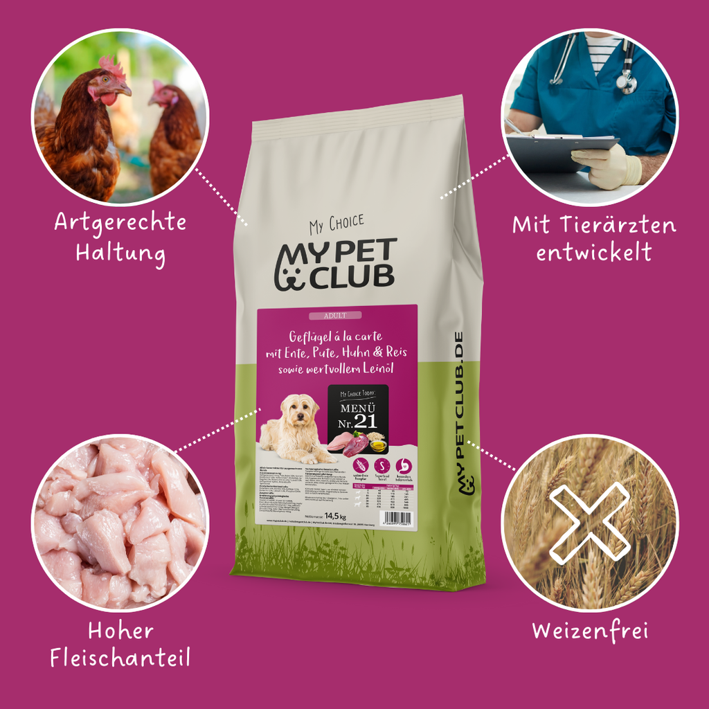 MyPetClub Solde