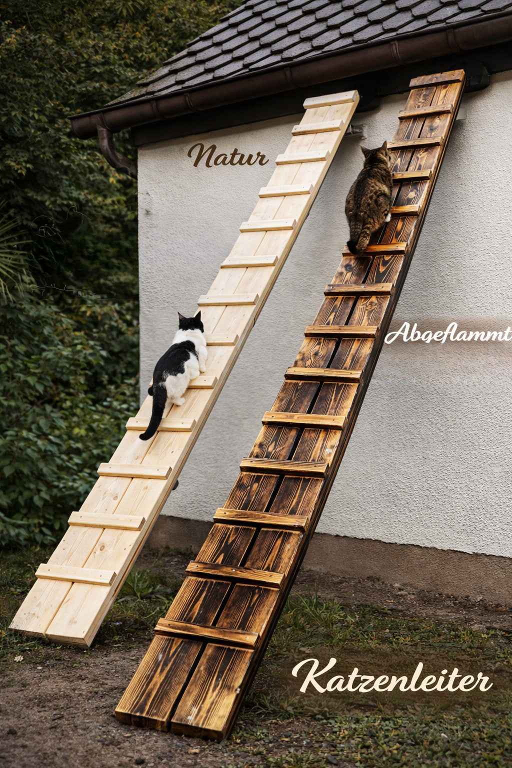 Medikratz Échelle pour chat 388cm