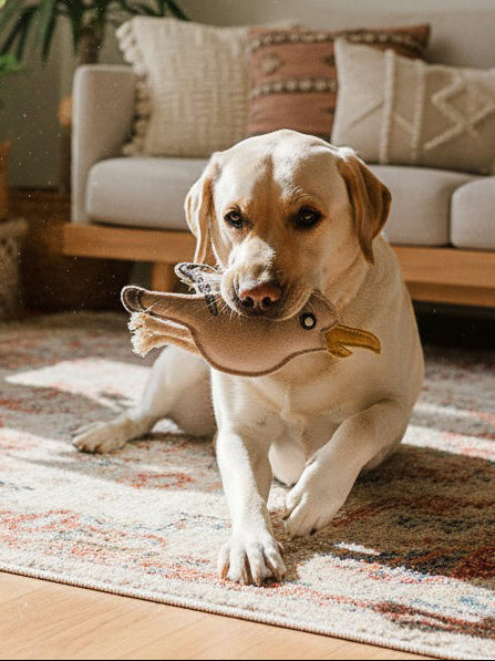 BUDDY. Jouet pour chien en cuir « Mouette »