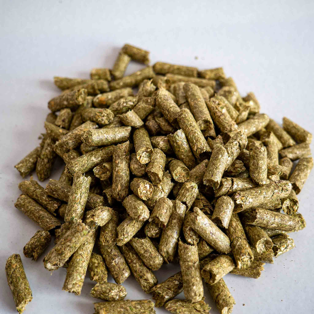 Paillis de foin en granulés | Paillis de jardin