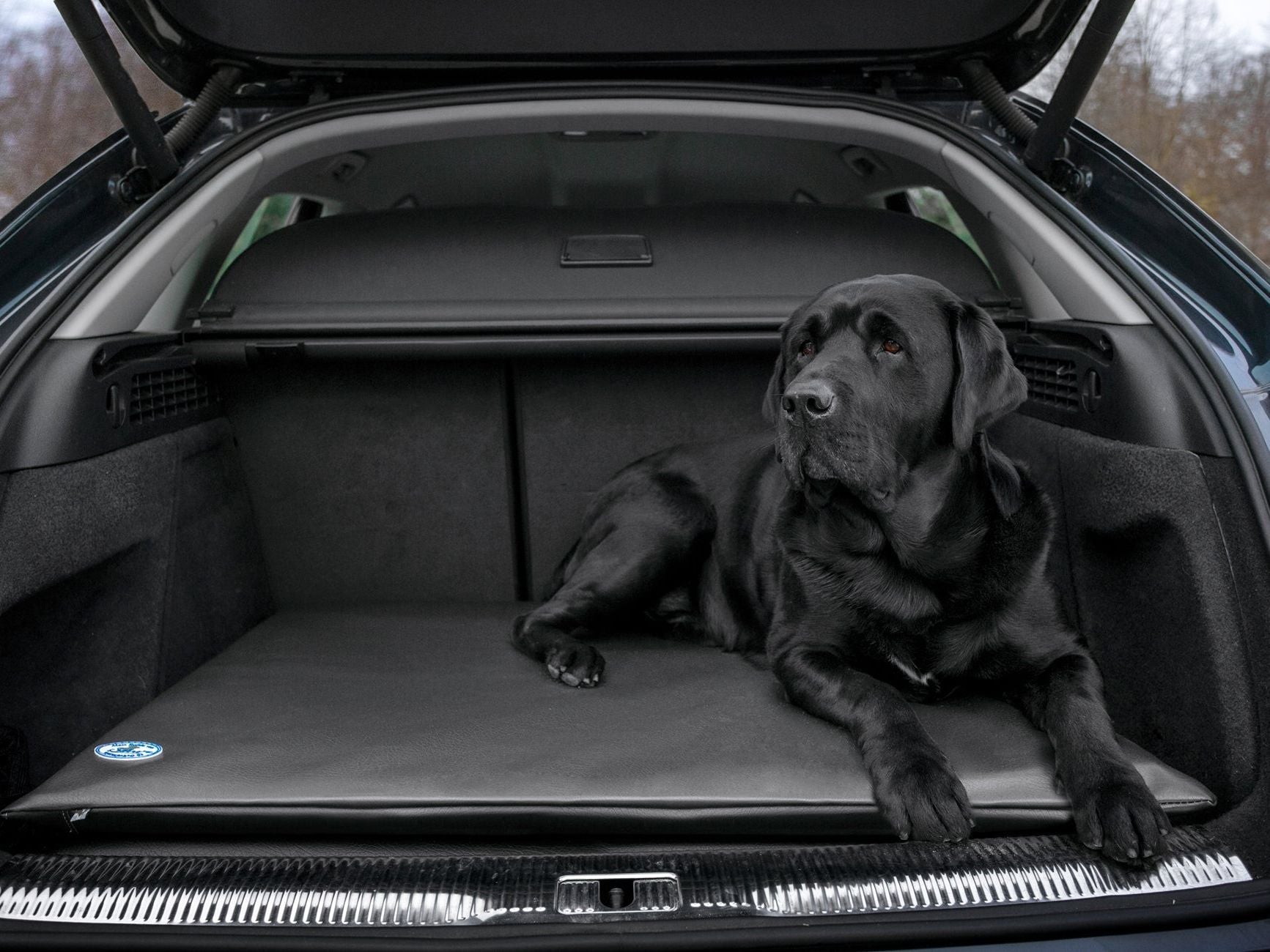 JOKKMOKK Faux Leather Dog Mat