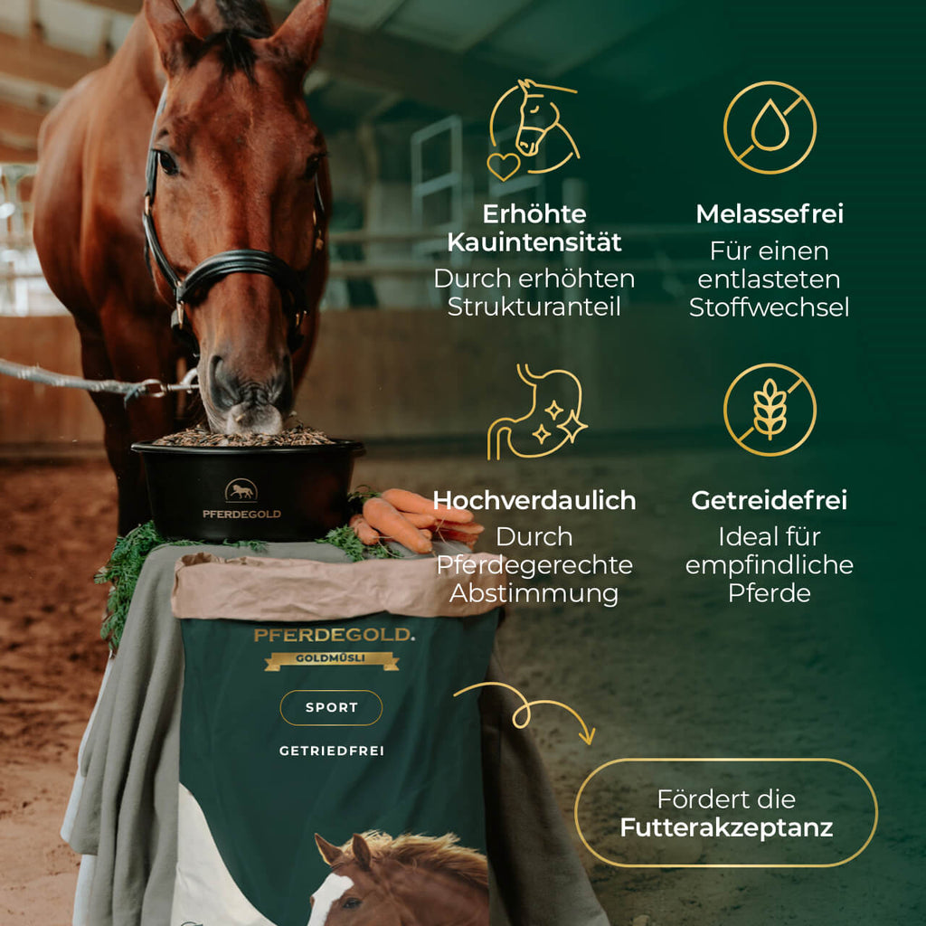 Goldmüsli® Sport Sans céréales