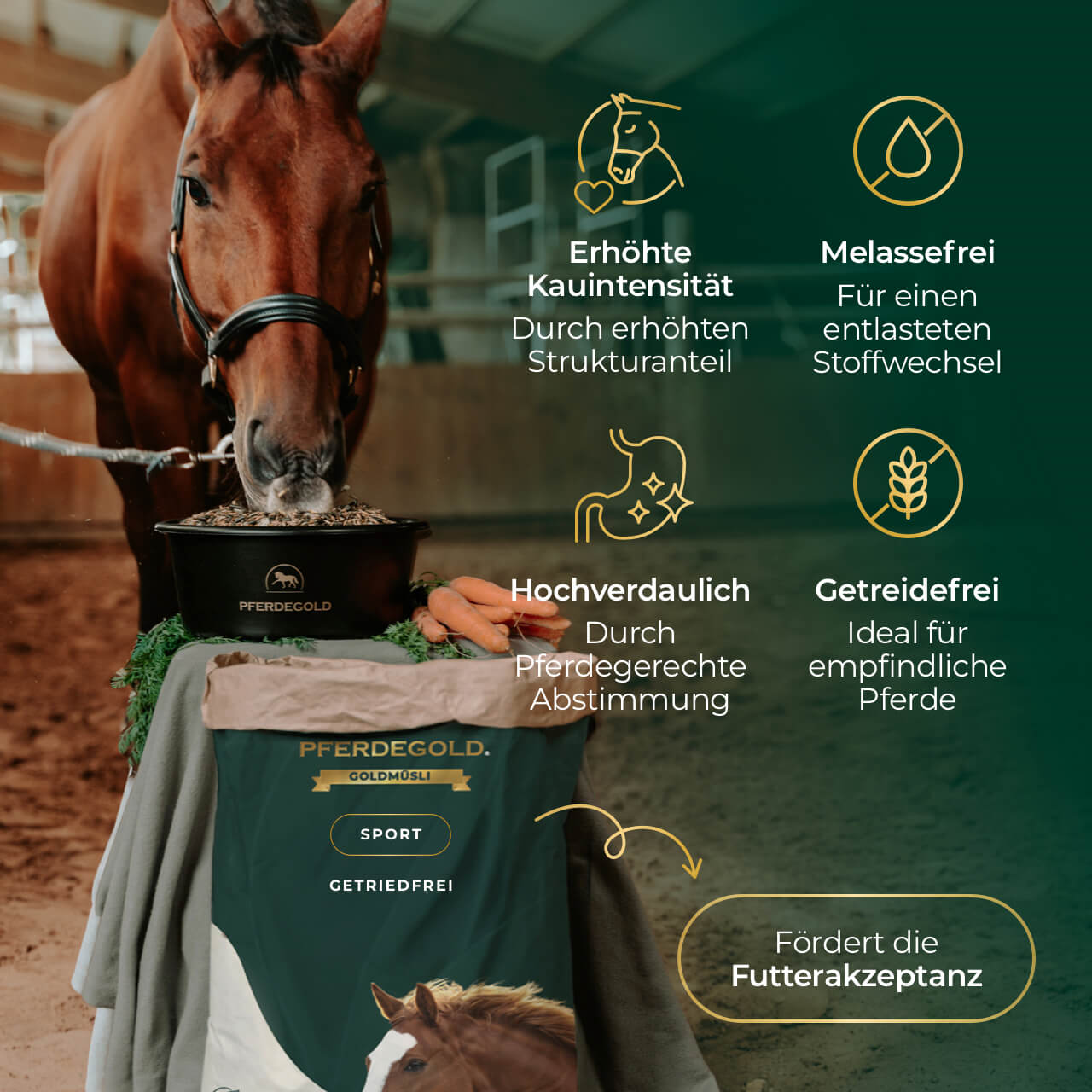 Goldmüsli® Sport Sans céréales