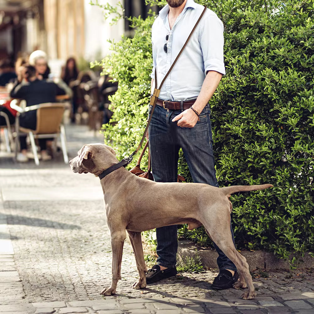 Hundeleine beige 180cm Länge – robust, angenehm in der Hand und ideal für den Alltag