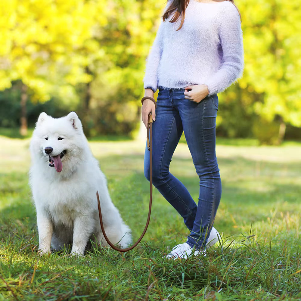 Hundeleine beige 180cm Länge – robust, angenehm in der Hand und ideal für den Alltag