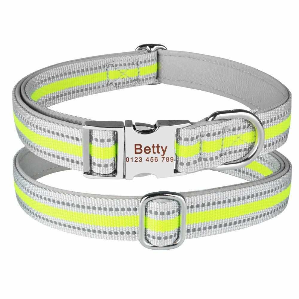 Collier pour chien hautement réfléchissant avec nom gravé
