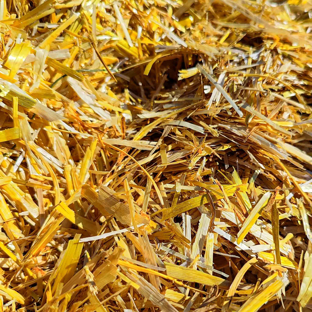 Paillage de paille