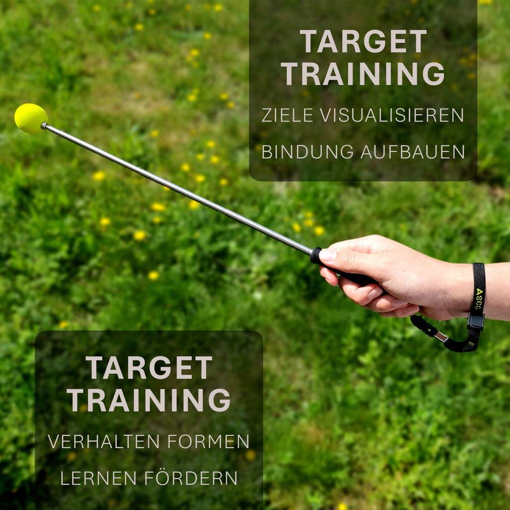ASCO Target Stick - Bâton télescopique pour chiens et chats avec balle souple