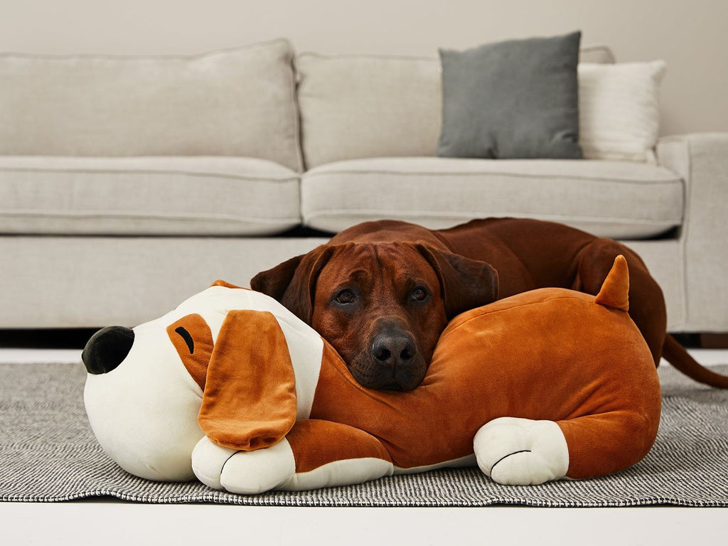 Doudou TOMMI