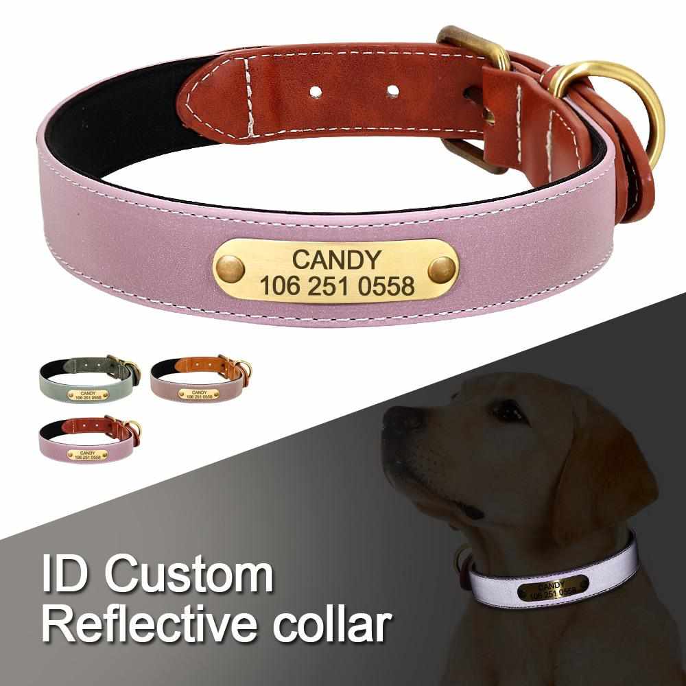 Magnifique collier pour chien réfléchissant avec nom gravé