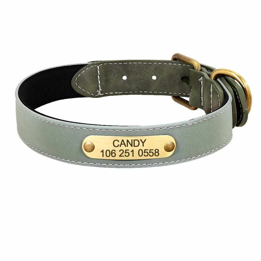 Magnifique collier pour chien réfléchissant avec nom gravé