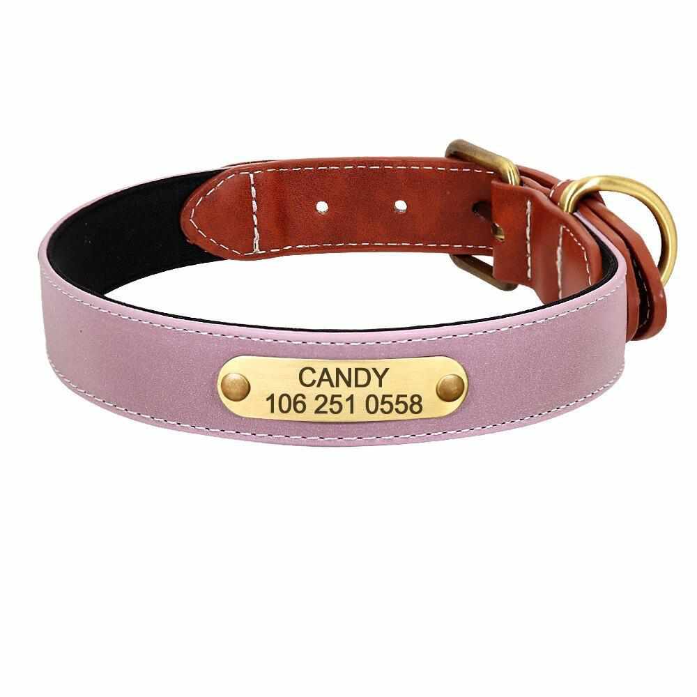 Magnifique collier pour chien réfléchissant avec nom gravé