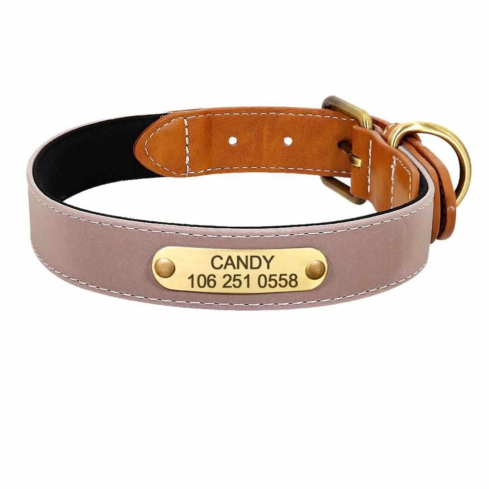 Magnifique collier pour chien réfléchissant avec nom gravé