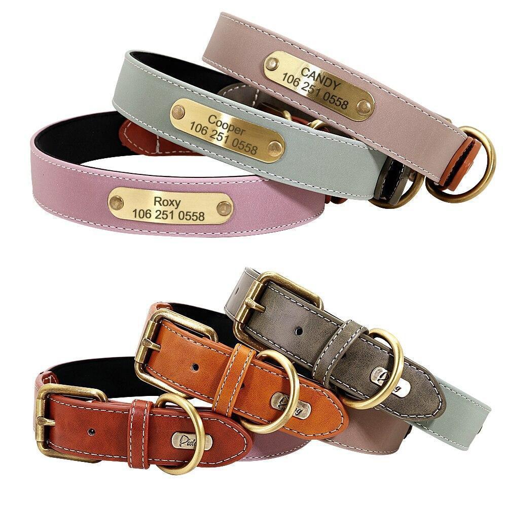 Magnifique collier pour chien réfléchissant avec nom gravé
