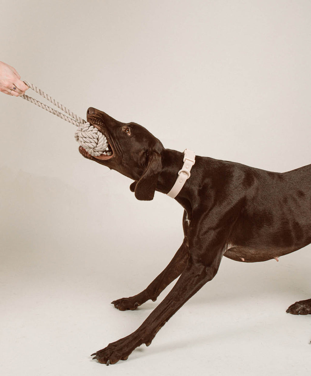Jouet en corde torsadée
