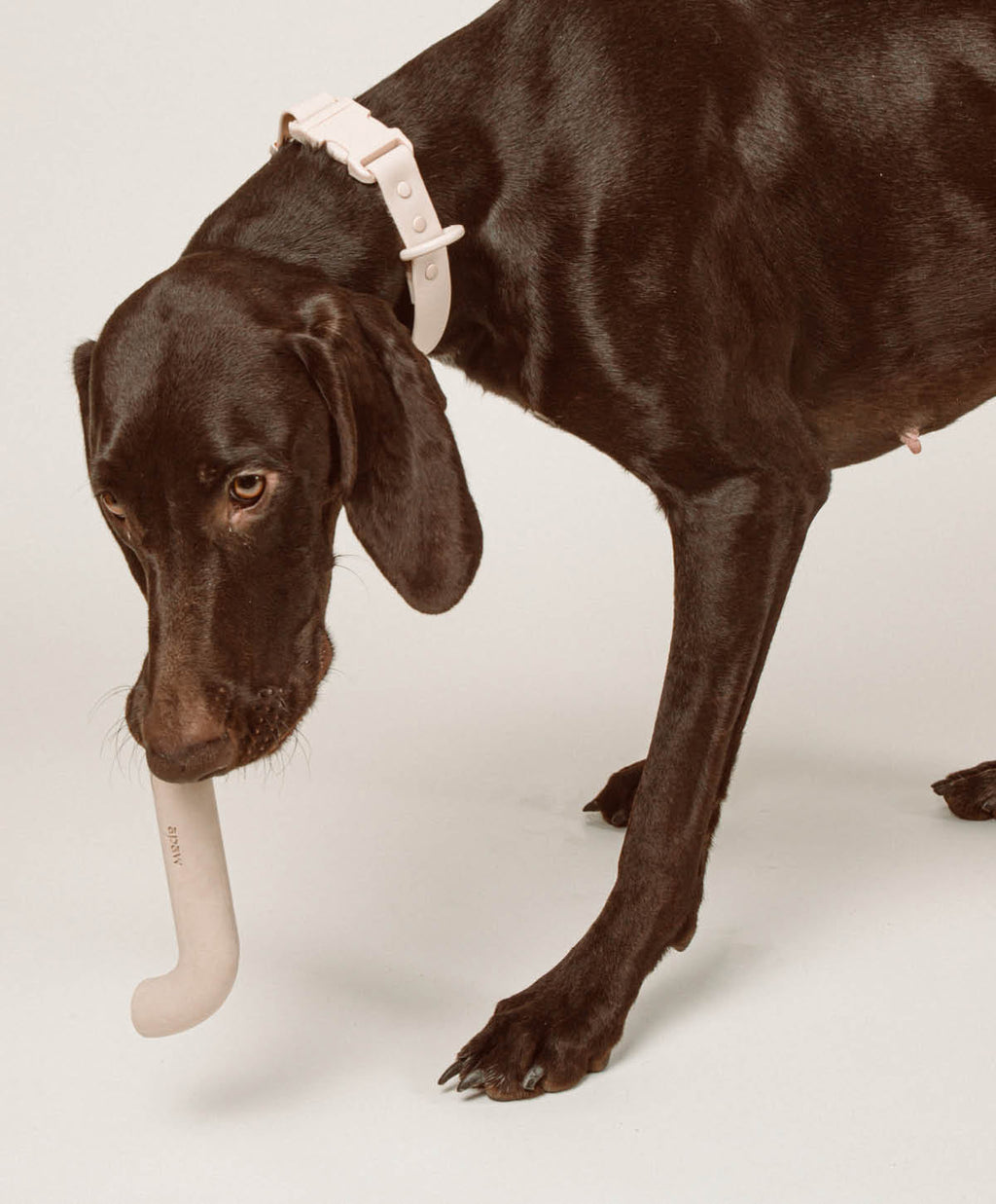 Rubber Bone