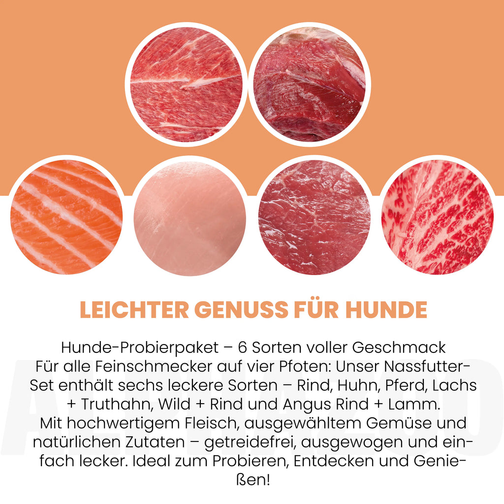 Probierschmaus Hund