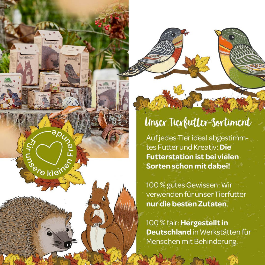 3 petits repas pour hérissons, écureuils et oiseaux