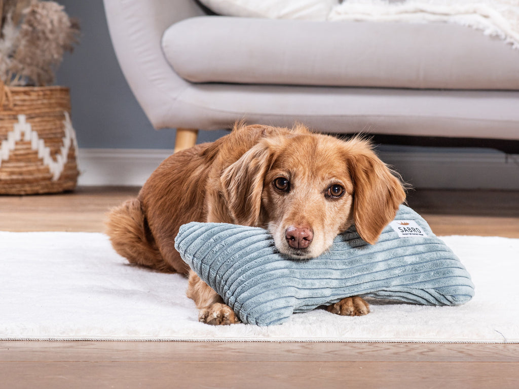 Pillow KUSCHELKNOCHEN Cord