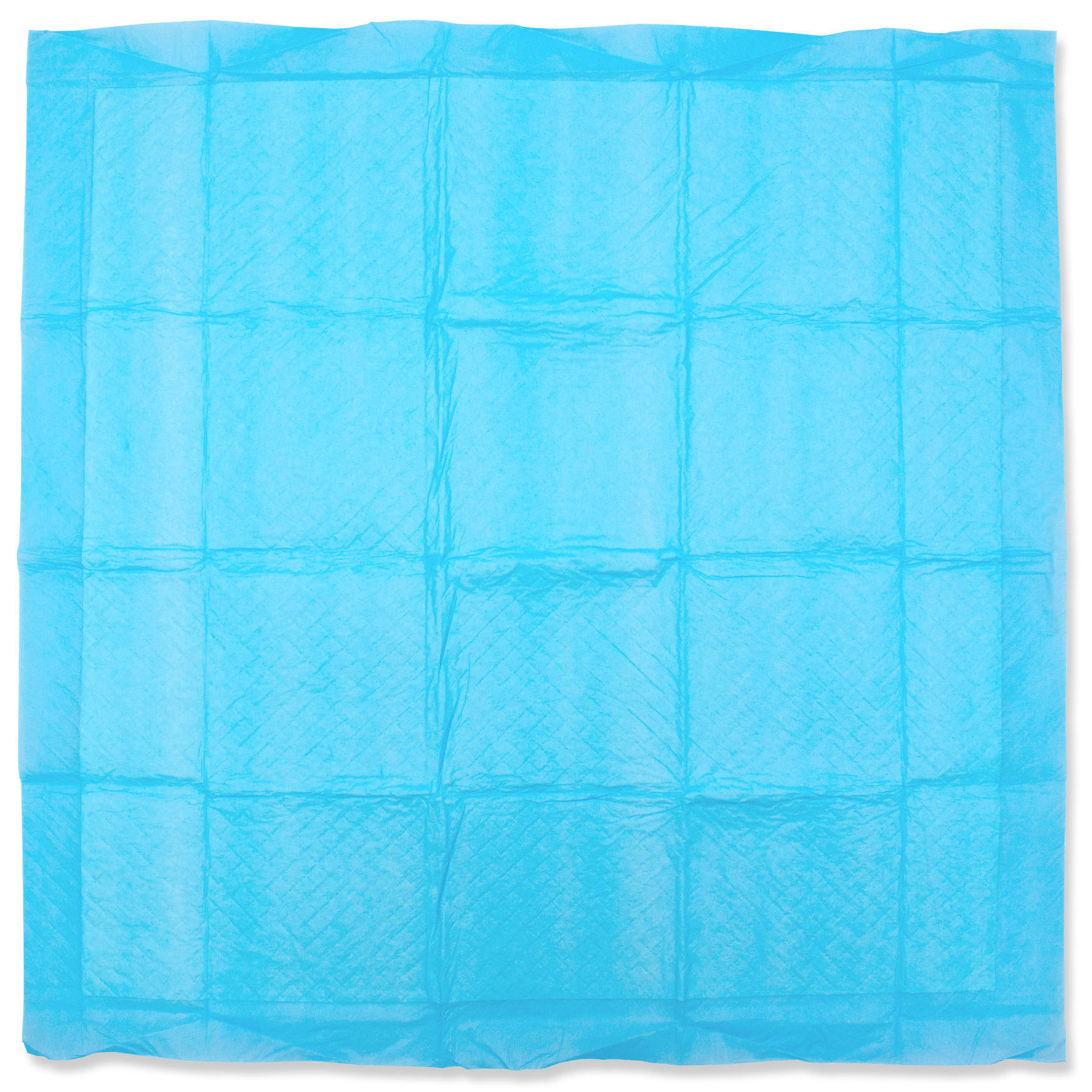 50 tapis d'apprentissage pour chiots 60 × 60 cm – Tapis d'éducation pour chiens, très absorbants