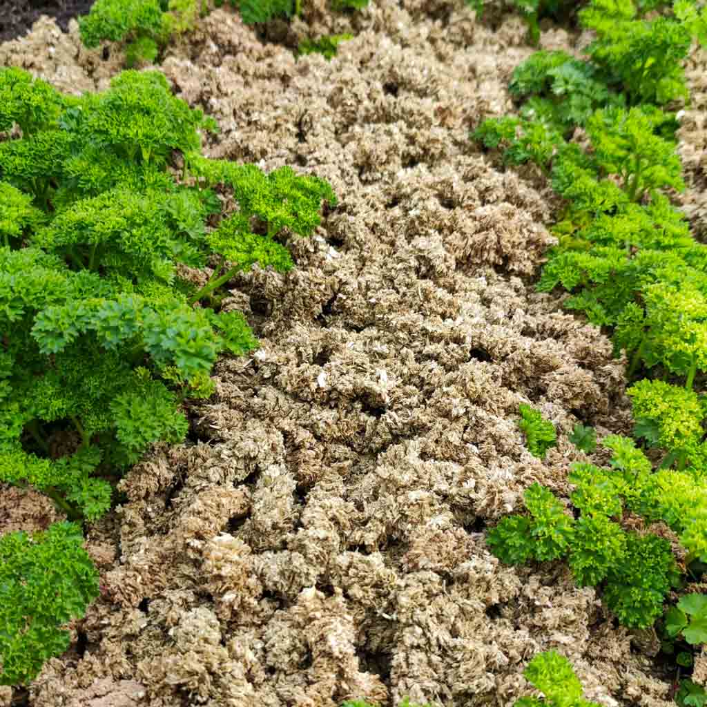Paillis de foin en granulés | Paillis de jardin