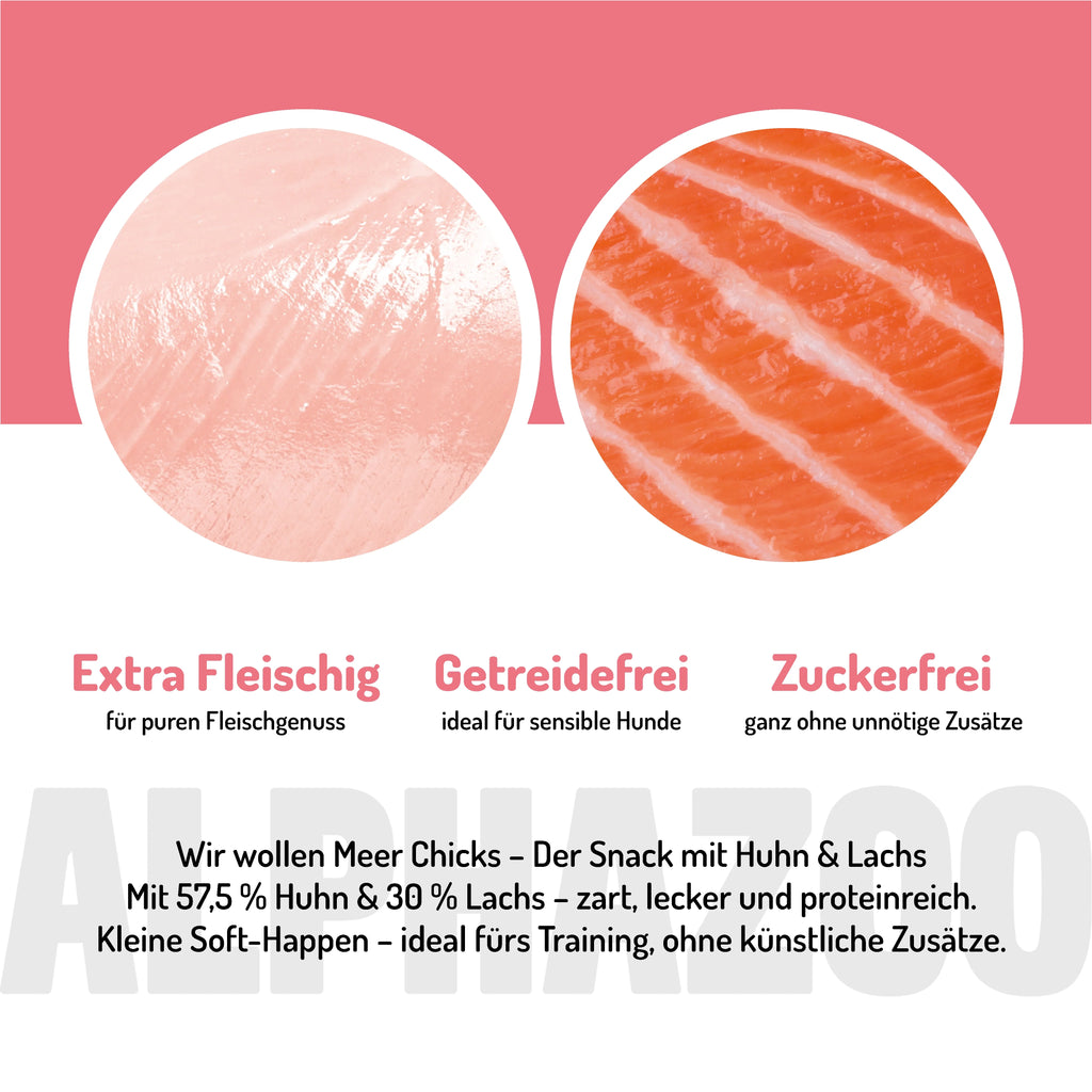 Wir wollen Meer Chicks